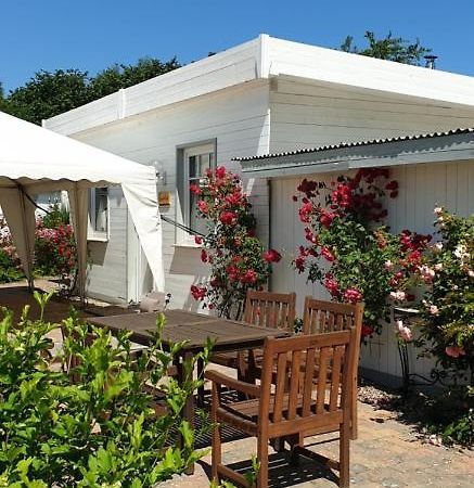 Ferienbungalow Haus Am Teich بولتينهاجين المظهر الخارجي الصورة
