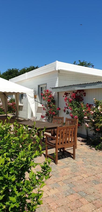 Ferienbungalow Haus Am Teich بولتينهاجين المظهر الخارجي الصورة