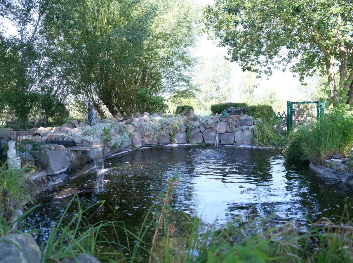 Ferienbungalow Haus Am Teich بولتينهاجين المظهر الخارجي الصورة