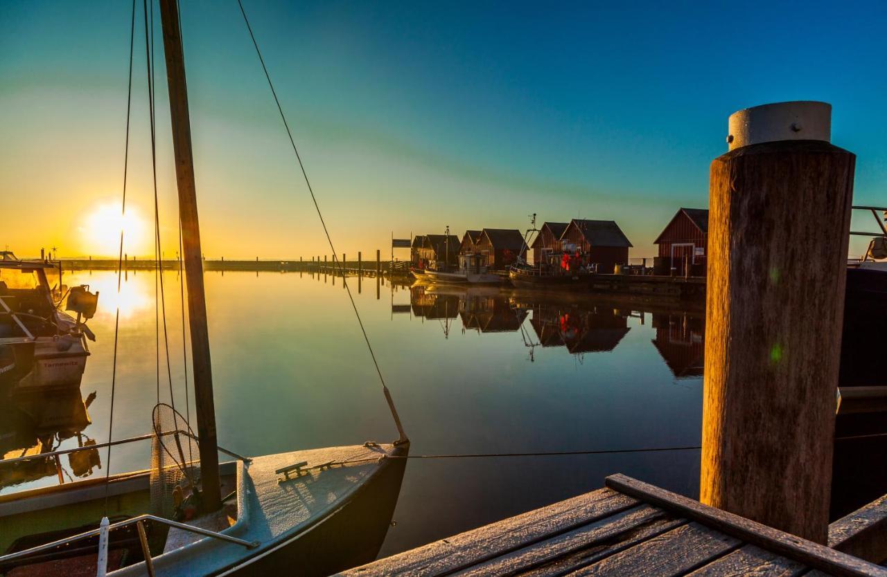 Ferienbungalow Haus Am Teich بولتينهاجين المظهر الخارجي الصورة